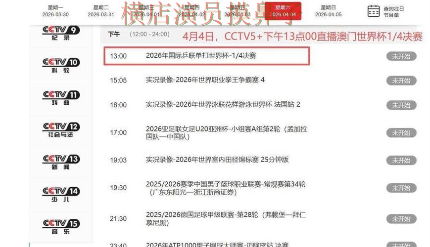 世界杯直播背景下的世界杯买球平台解析与速度测试 世界杯直播背景下的世界杯买球平台解析与速度测试